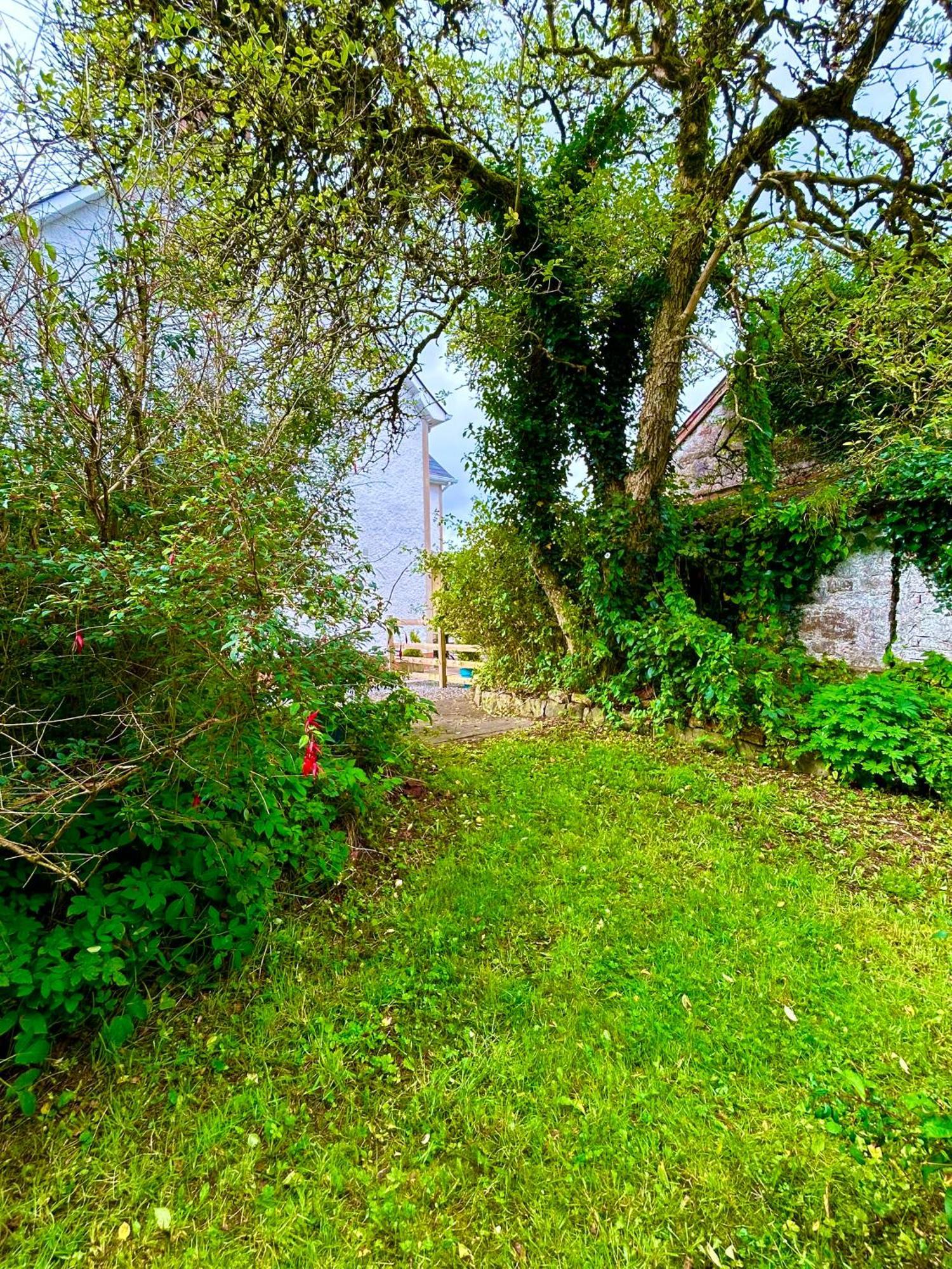 Maguires BridgeLime Tree House别墅 外观 照片