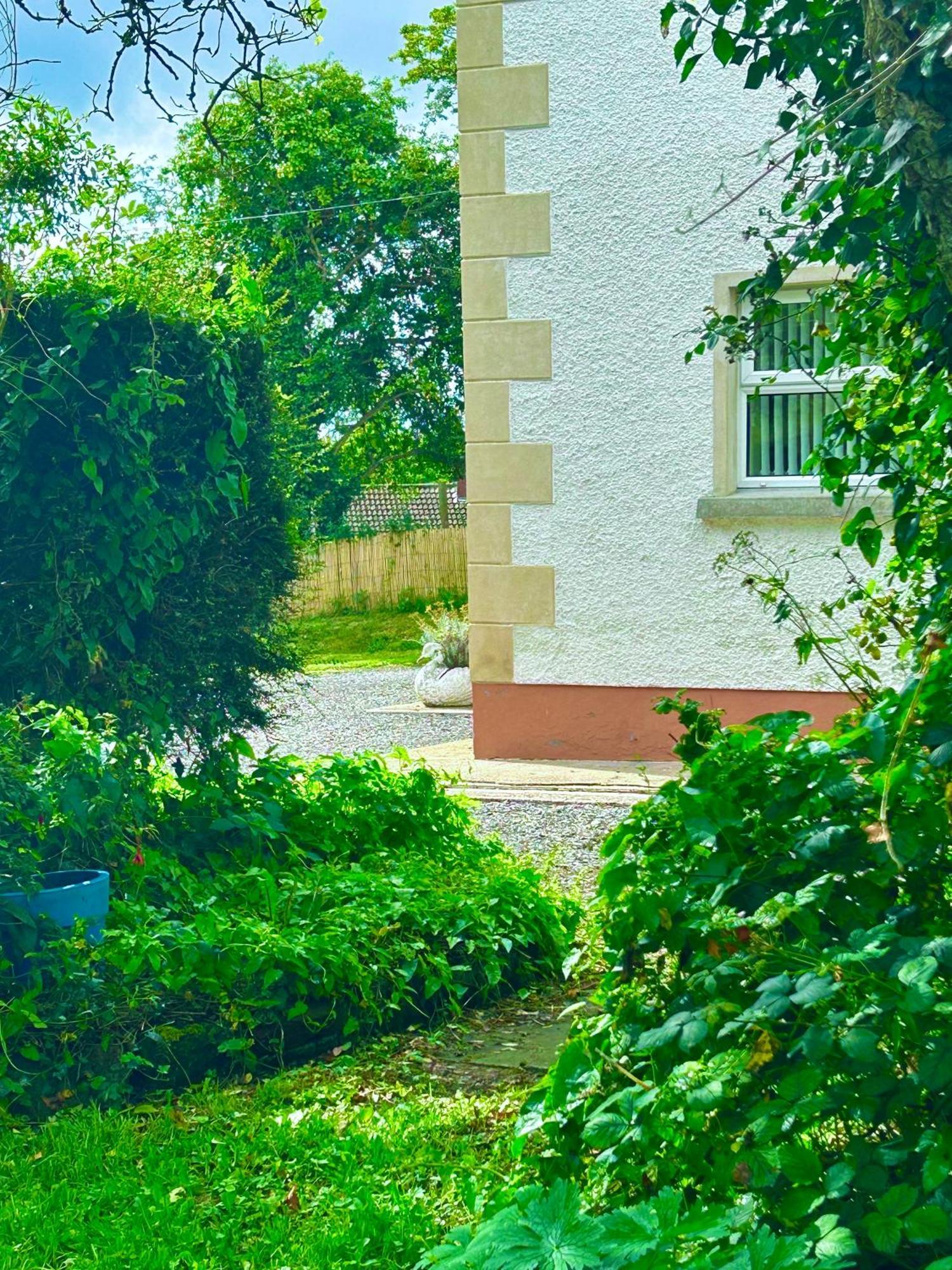 Maguires BridgeLime Tree House别墅 外观 照片