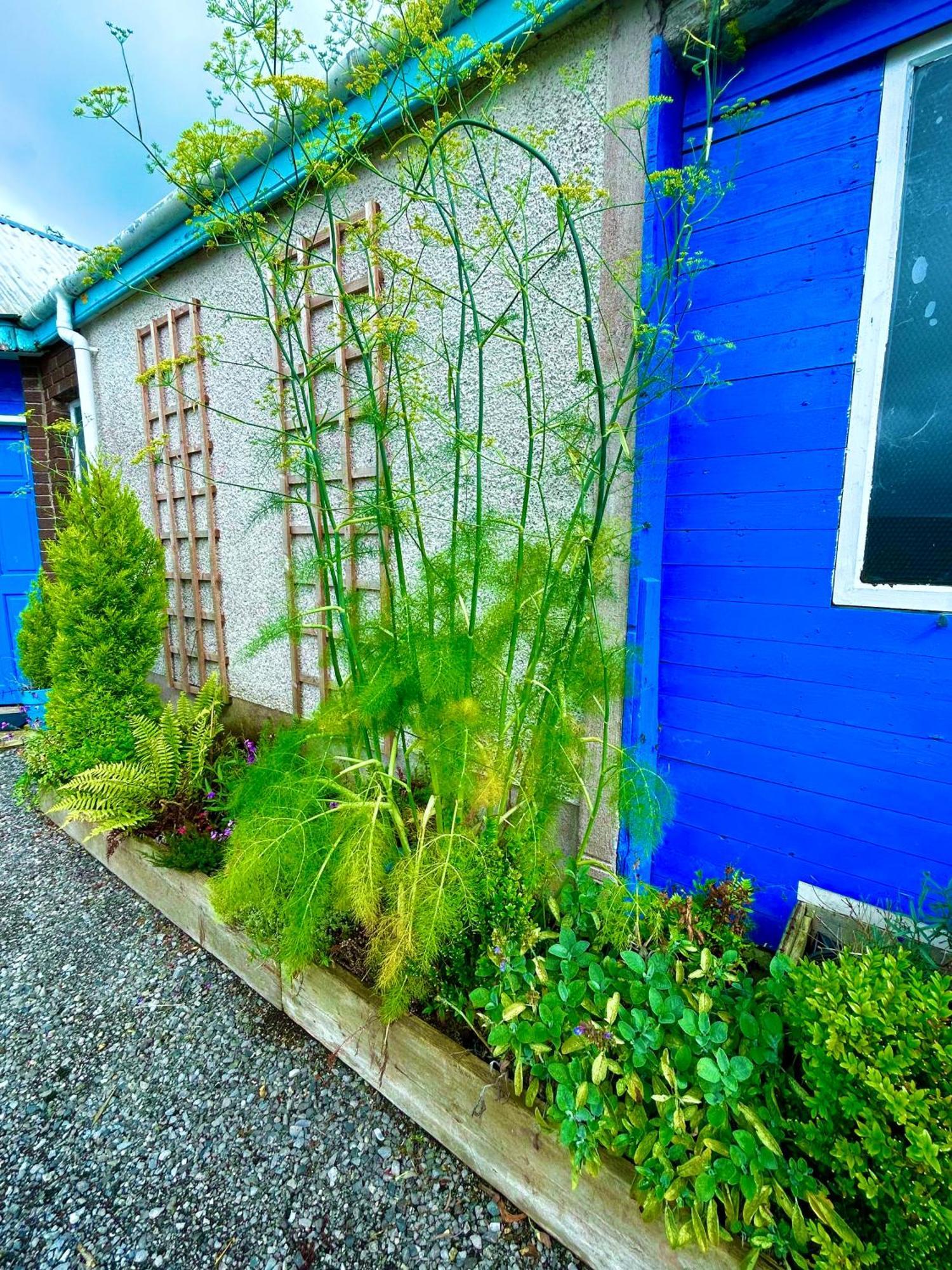 Maguires BridgeLime Tree House别墅 外观 照片