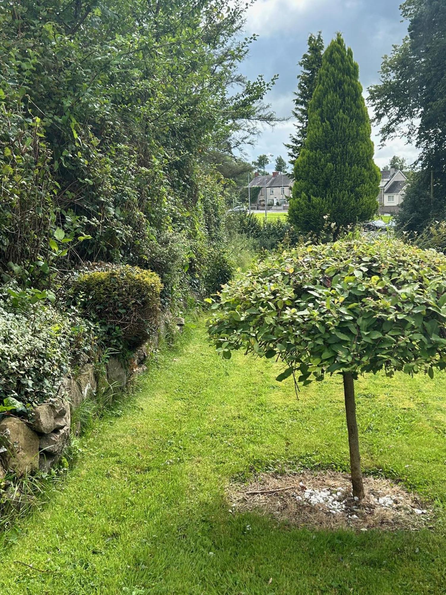 Maguires BridgeLime Tree House别墅 外观 照片